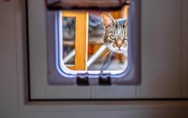 Cat flap installed in a double glazed glass door