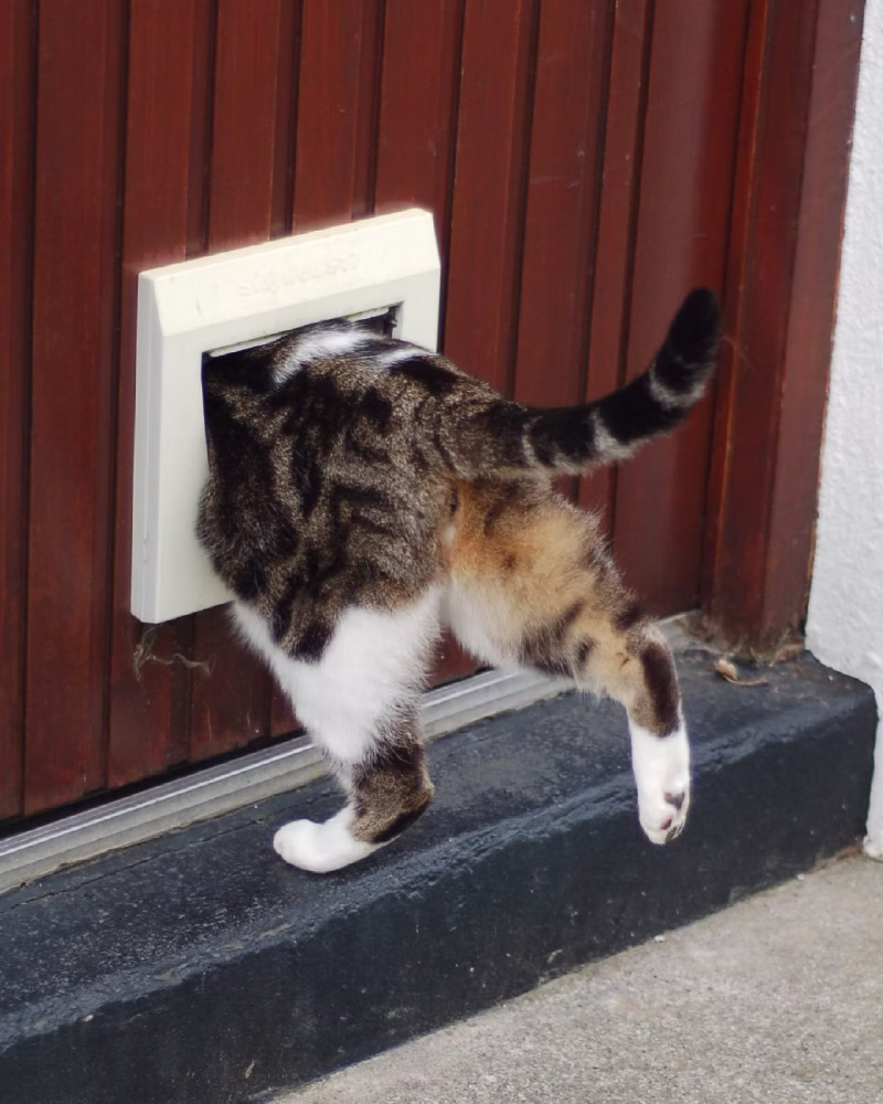 Technician fitting a cat flap into a double glazed glass door