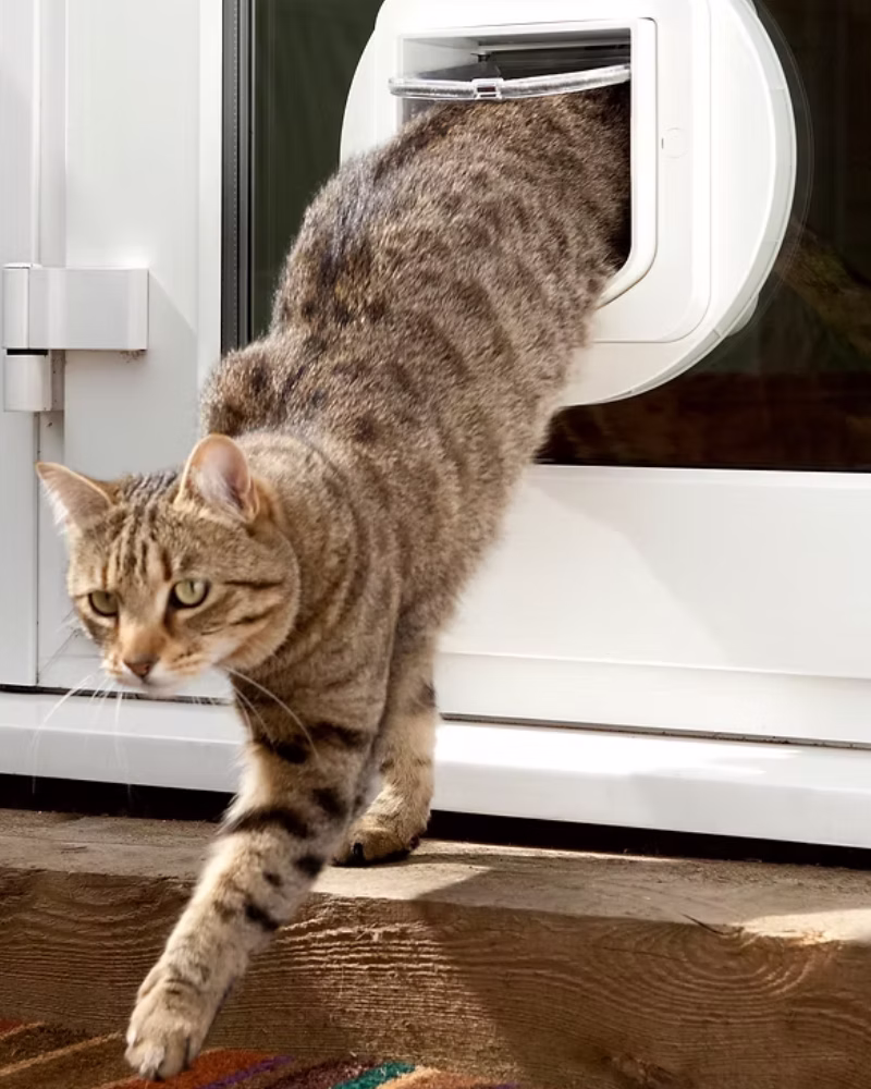 Replacement double glazed glass with a precision cat flap opening